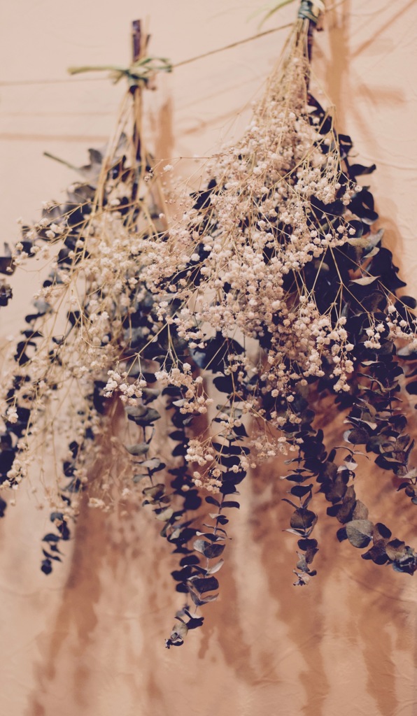 インスタントドライフラワー