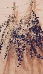 インスタントドライフラワー