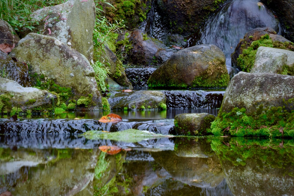 公園の池観光地風