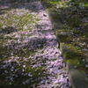 帰り道