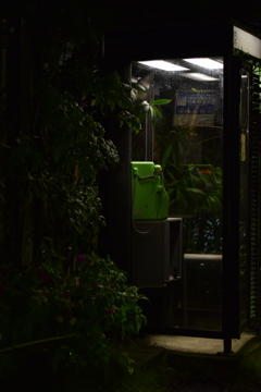 雨の公衆電話