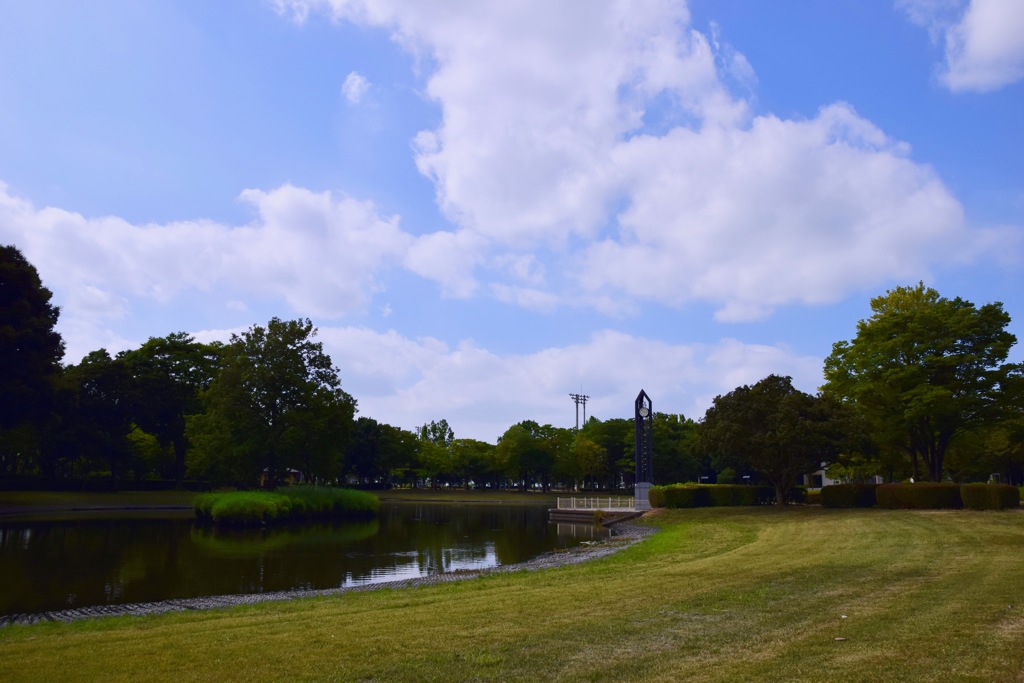 近くなかった公園