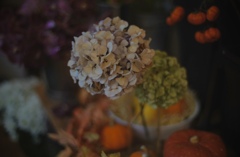 アンティーク紫陽花