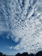 今日の空