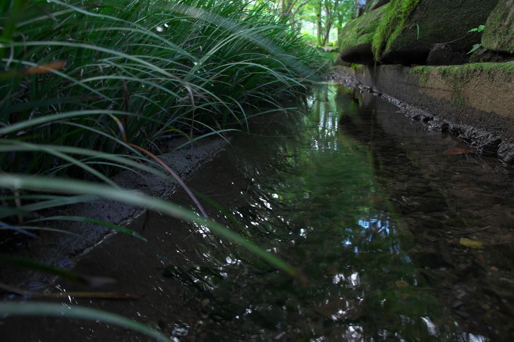 水路