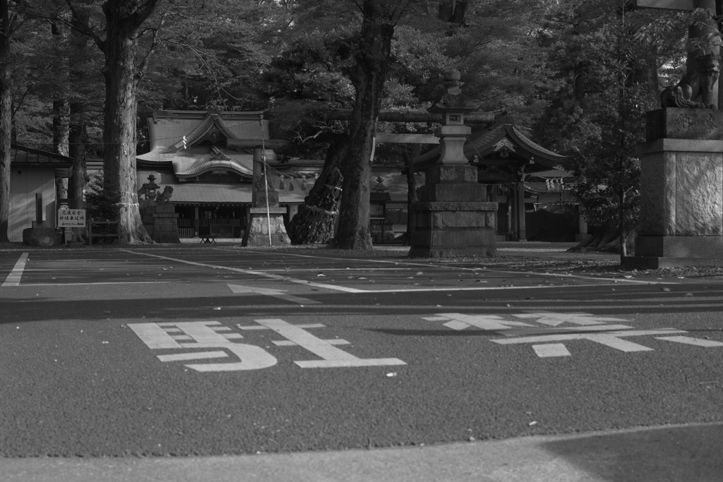 静寂と神社・・・と駐禁