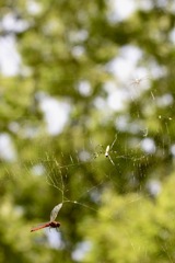 生きるということ