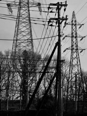 もう少し上手に付き合っていけると思う