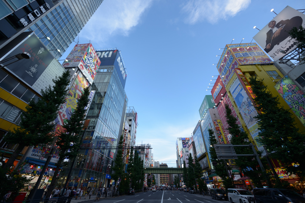 夕暮れの秋葉原