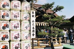 正月（結城神社）