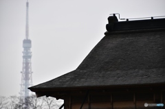 東京タワーと屋根と