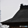 東京タワーと屋根と