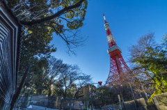 東京タワー#1