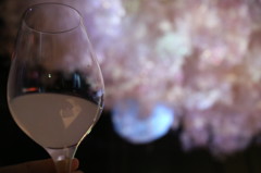 月華みて一杯