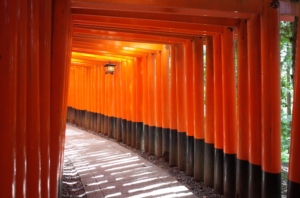 千本鳥居