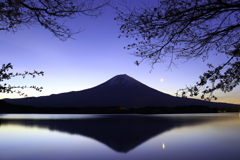 夜明けの田貫湖