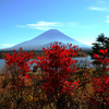 精進湖より紅葉と富士山