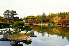 昭和記念公園の紅葉