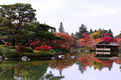 昭和記念公園の紅葉