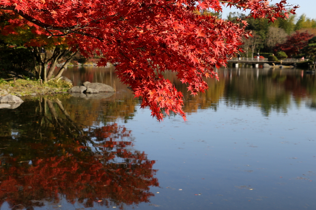 紅葉の鏡写し