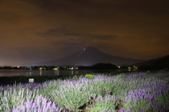 河口湖大石公園