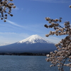 河口湖より桜と富士山
