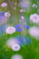 85BCCEEF-78F0-4FD8-8A06-B90B6BAD3FFA