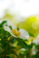 E863AD44-BDF8-4997-8D33-A689056B44BD