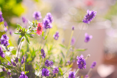 CDBE3736-ED68-45D1-A3B8-10BCEDB3CF59