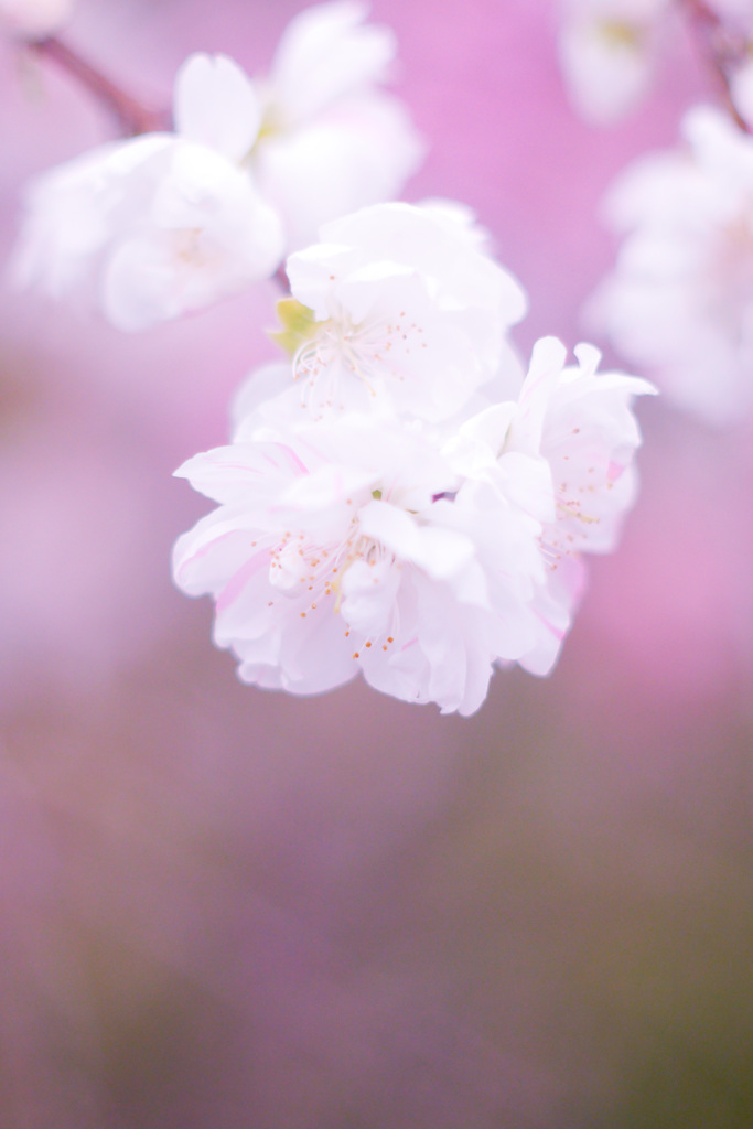 FF4245AC-64C9-41F1-A827-DC5E8AB9BADB