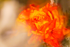 02D458C1-C97C-4E06-9030-FA02CC1126A0