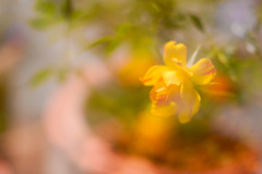 364B6CD6-6550-42A3-A47E-427B5673BC81