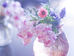 82E49A00-B52C-4037-A5DA-3B705C243715