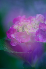 8C1D1AB2-7695-437E-9A78-ACEBB4C15591