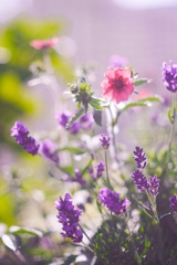 87C31B38-B354-4202-B662-EBC41C6E8640