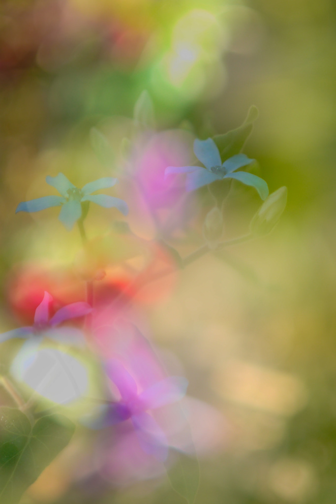 1049BBED-ED91-4017-A1E2-C001BD8CD8A9