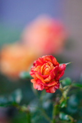 D20E05EC-3086-4EC3-B5A7-1067C034D885