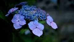 04036264-7747-49EF-8E77-8A792E2E1B23
