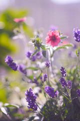 537E9330-9138-473A-A624-3B2BA98085AB