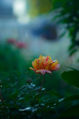 7689FB15-A837-457D-A6B1-6DE2932A6374