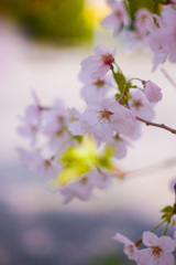 37A01D37-0918-4DA3-9C4E-F85CFCA67BAA