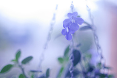 1F68AA5A-E74D-4D34-8838-26654E10396F