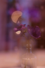 B8BFBC45-F5A1-4D4E-8ECE-A264FA5927D5