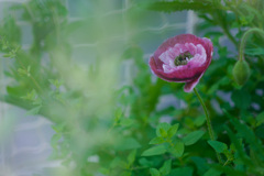 8729E17E-318F-4C8B-871B-80869131B952