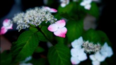 9142CB07-DB25-4D7D-B35B-60184104ABE4