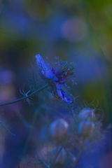 D04807DF-ED40-47B9-B844-4438D73701C6