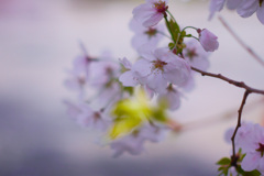 BC138C08-8DAF-4EEA-9C46-5093EF56122E