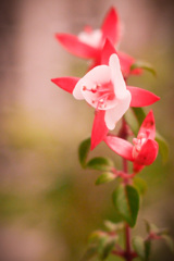 B33A34B9-AC8E-4639-B242-9E160E1BD663