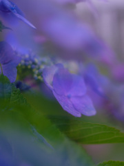 60D69681-E6D3-4FF6-BC80-1501B5EE78CB