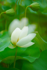 9EB5B889-A8AF-41CE-92BE-9E9F2803F661